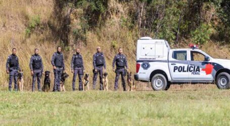 Grupo de Operações com Cães da Polícia Penal de MG completa 20 anos