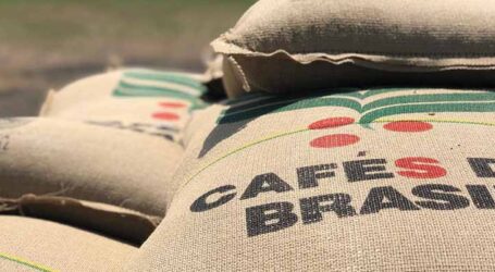 Brasil exportou 46 milhões de sacas de café, atingindo recorde em 2024