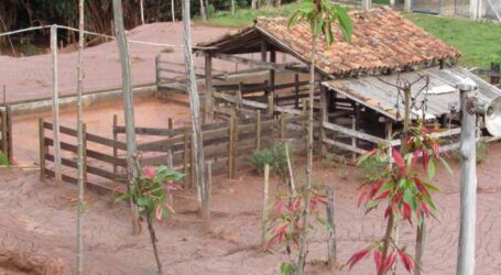 Programa beneficiará propriedades rurais mineiras atingidas pela tragédia em Mariana