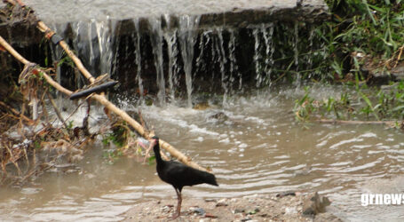Secretário afirma que Ribeirão Paciência entra em alerta por conflito de água e mobiliza educação ambiental em Pará de Minas