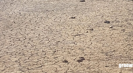 GRNEWS TV: Estudo de geógrafos indica que Brasil terá áreas desertas por excesso de queimada, uso de agrotóxicos e calor intenso