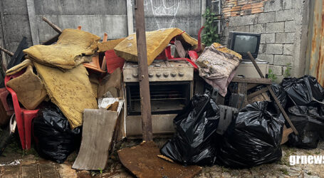 GRNEWS TV: Criadouros do Aedes aegypti estão em toda Pará de Minas ampliando o risco de novas epidemias de Dengue e Chikungunya