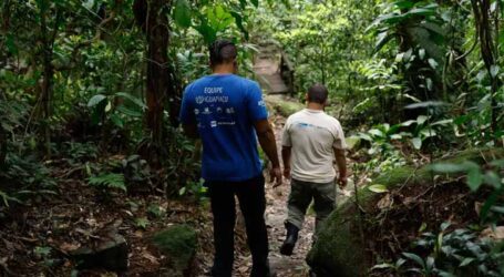 Educação ambiental tenta aproximar a população da Mata Atlântica