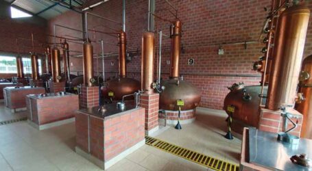 GRNEWS TV: Centro de Referência em Cachaça orientará produtor desde a escolha da variedade de cana a ser plantada até o produto final