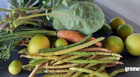 GRNEWS TV: Agronegócio impulsiona economia e destaca papel da Emater em Pará de Minas