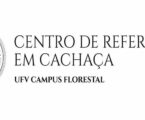 GRNEWS TV: Brasil busca consolidar cachaça no mercado global e MG investe no combate à informalidade