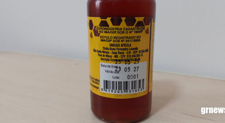 GRNEWS TV: Abelhas, amor e a batalha pela confiança e desmistificação do mel da agroindústria familiar