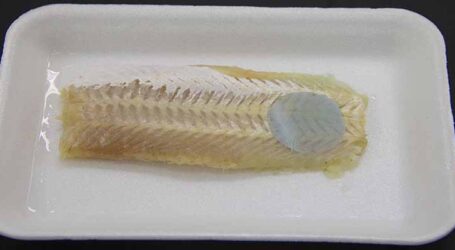 Inovação na prateleira: embalagem inteligente avisa quando o peixe está impróprio para consumo
