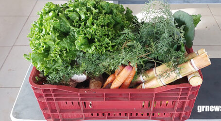 GRNEWS TV: Agricultura familiar garante merenda escolar saudável e fortalece produção local