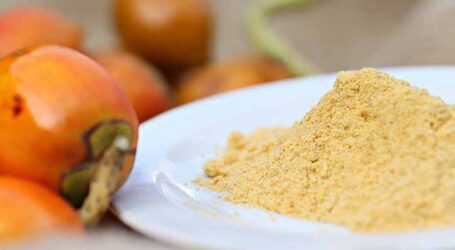 Da floresta ao mercado o novo caminho das farinhas locais da Amazônia