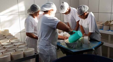 Registro sanitário para alimentos: IMA orienta produtores de Minas Gerais