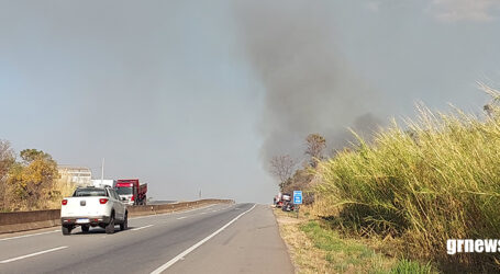 Maio Amarelo e combate às queimadas mobilizam estudantes em Pará de Minas. Ação une trânsito seguro, preservação ambiental e formação cidadã
