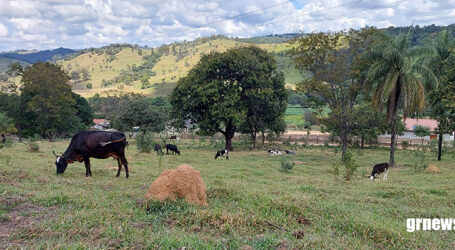GRNEWS TV: Pará de Minas busca equilíbrio entre força do agronegócio e a preservação ambiental, diz secretário