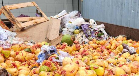 Biogás: a energia dos resíduos de frutas e verduras