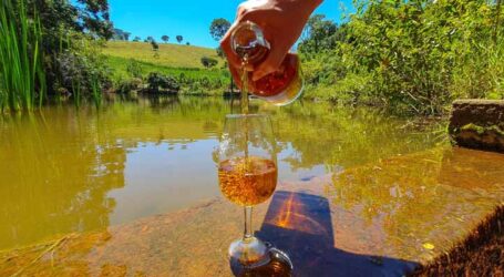 GRNEWS TV: Minas Gerais investe em qualificação e gera empregos com foco em turismo e indústria