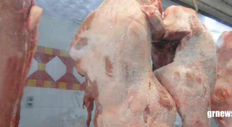 GRNEWS TV: Mercado do agro enfrenta desafios externos, mas setor de carne suína mantém otimismo em Pará de Minas