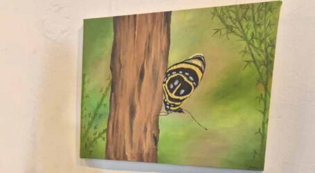 Exposição Entre Mestres e Aprendizes celebra quatro décadas de história cultural da Escola Municipal de Artes e Ofícios Sica