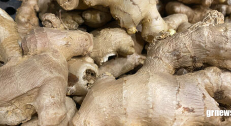 GRNEWS TV: Alimentação pode ajudar no combate à candidíase e prevenir novos episódios dessa infecção na mulher