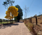 Prefeito assina Ordem de Serviço para início das obras de asfaltamento da estrada de Paivas. Obra custará R$ 11,8 milhões e mudará rotina da região