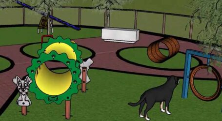 GRNEWS TV: Pará de Minas terá a primeira praça pet da região com estrutura completa e segura. Projeto 100% custeado pela iniciativa privada