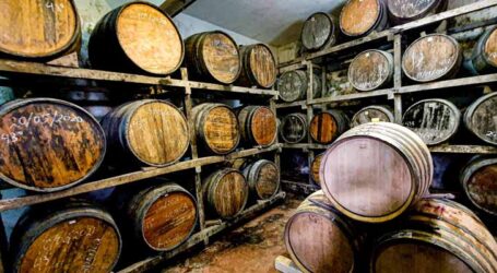 GRNEWS TV: Produtor formalizado de cachaça mineira transforma tradição em renda e amplia oportunidades de mercado