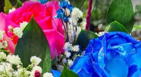 GRNEWS TV: Jéssica Moreira transforma chás revelação e serenatas em momentos inesquecíveis