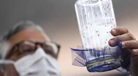 Mesmo com queda de 90% em MG, Ministério da Saúde reforça combate à dengue e investe R$ 183 milhões em novas tecnologias