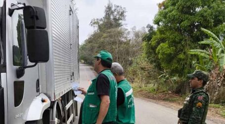 GRNEWS TV: Fiscalizações e ações educativas do IMA fortalecem combate à cachaça clandestina em Minas Gerais