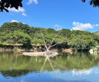 Parque do Bariri ganha fonte luminosa e show no encerramento da campanha Junho Verde