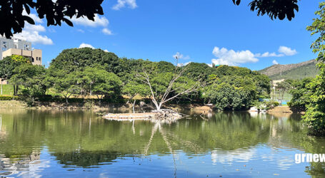 Pará de Minas acende o encanto do 1º Natal Verde no Parque do Bariri. Decoração inédita valoriza natureza, lazer e memória afetiva