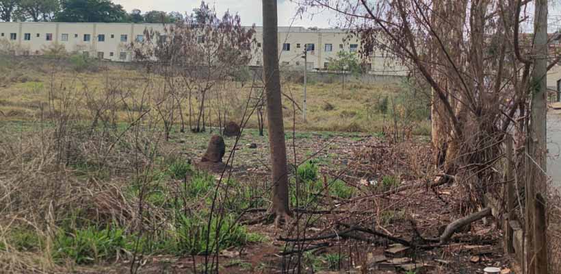GRNEWS TV: Comunidade do bairro São Paulo cobra área pública para lazer e serviços
