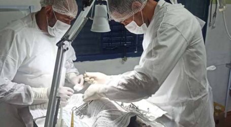 CCP realizará aos domingos castração gratuita de cães e gatos da área rural de Pará de Minas; saiba como se inscrever