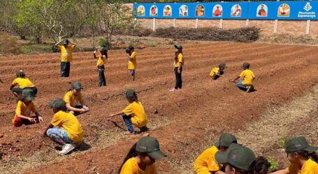 GRNEWS TV: Projeto Plantando Esperança transforma educação e sustentabilidade no Patronato