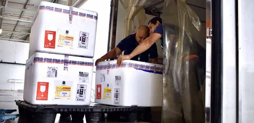 Brasil inicia distribuição da vacina contra VSR para proteger recém-nascidos e prevenir bronquiolite