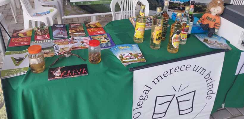 GRNEWS TV: Projeto “O Legal Merece um Brinde” ganha força com fiscalização e orientação sobre a produção da cachaça mineira
