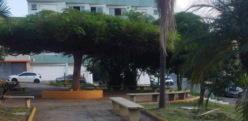 Limpeza e poda renovam as condições de uso da Praça da Independência após reclamações