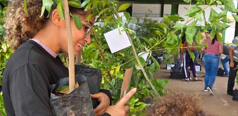 GRNEWS TV: Avanços na reciclagem impulsionam novas atitudes da população